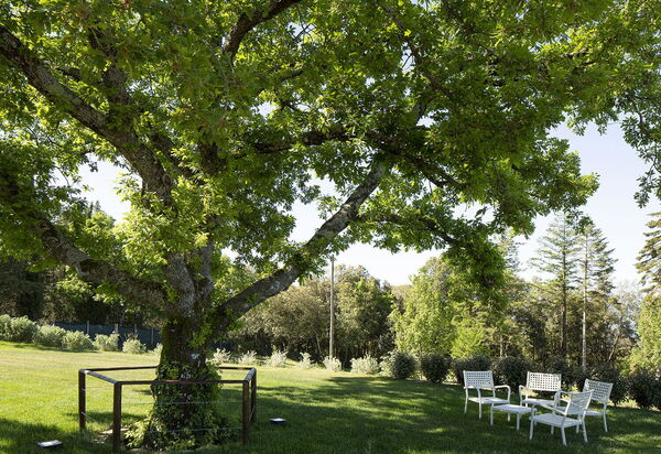 Villa Perfetta: all'aperto, Attività, Balcone / Terrazza / Patio, Caratteristiche, Cibo, Estate, Idromassaggio, Persone, Piscina, Primavera