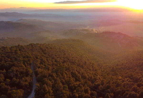 Villa Perfetta: all'aperto, Attività, Balcone / Terrazza / Patio, Caratteristiche, Cibo, Estate, Idromassaggio, Persone, Piscina, Primavera