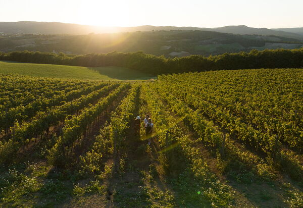 Villa Delle Vigne: Building Exterior, Hot Tub, Main Entrance, Planimetry, Spring, Summer, Wellness