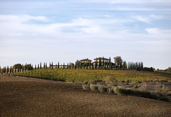 Villa Delle Vigne: Building Exterior, Hot Tub, Main Entrance, Planimetry, Spring, Summer, Wellness