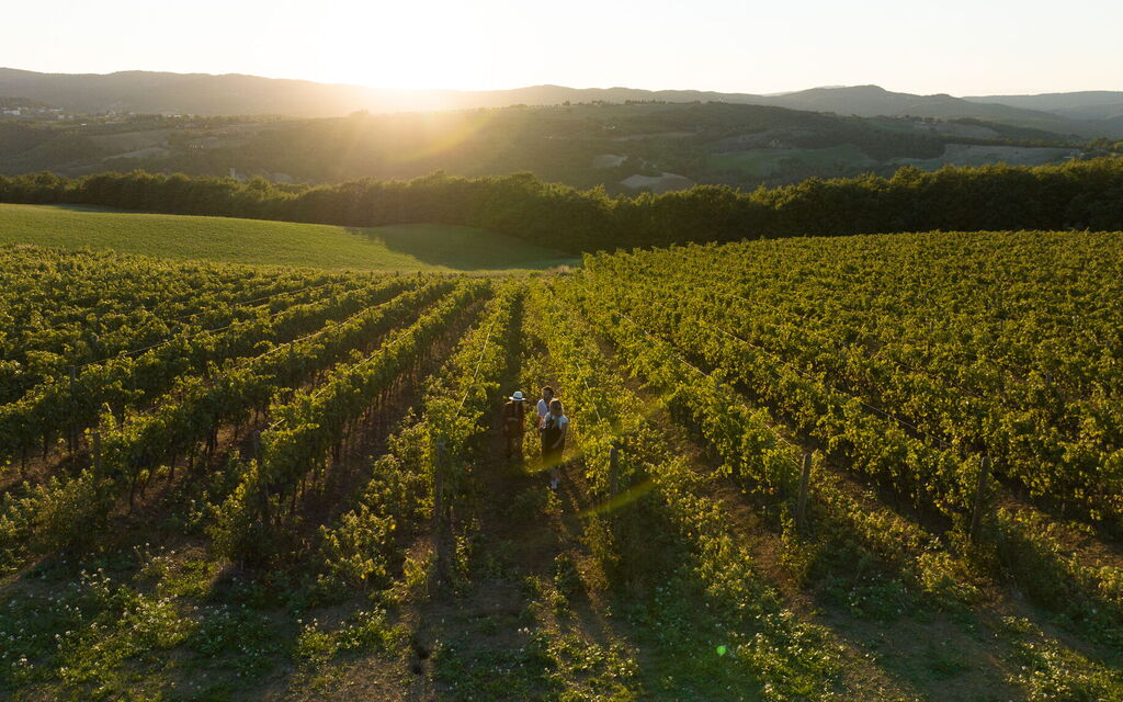 Villa Delle Vigne: Benessere, Entrata Principale, Estate, Esterni, Idromassaggio, Planimetria, Primavera