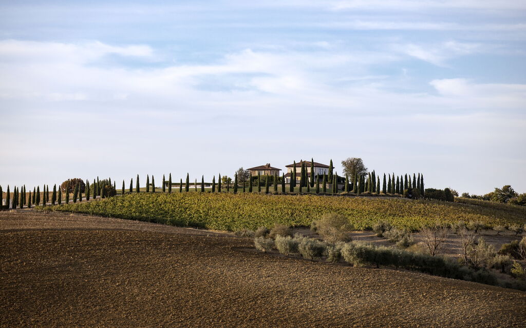 Villa Delle Vigne: Benessere, Entrata Principale, Estate, Esterni, Idromassaggio, Planimetria, Primavera