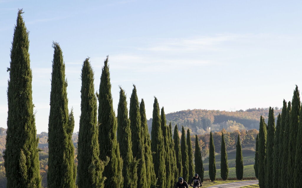 Villa Delle Vigne: Benessere, Entrata Principale, Estate, Esterni, Idromassaggio, Planimetria, Primavera
