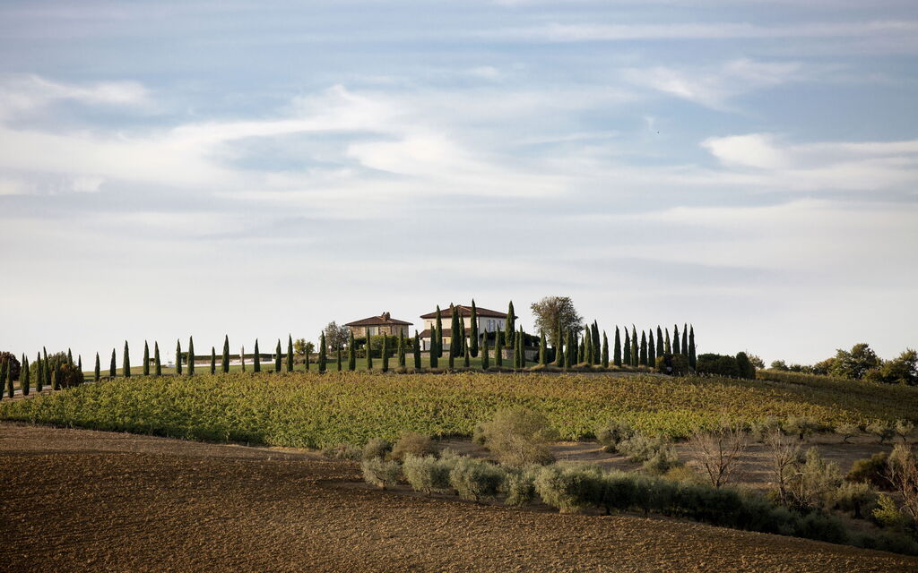 Villa Delle Vigne: Benessere, Entrata Principale, Estate, Esterni, Idromassaggio, Planimetria, Primavera