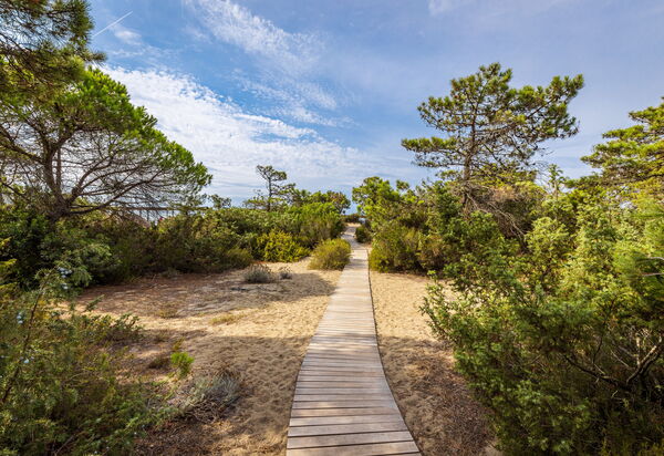 Villa Dei Pini: all'aperto, Balcone / Terrazza / Patio, Estate, Esterni, Giardino, Piscina, Primavera
