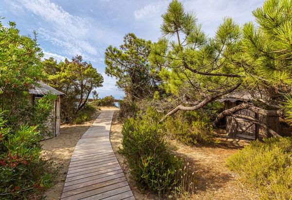 Villa Dei Pini: all'aperto, Balcone / Terrazza / Patio, Estate, Esterni, Giardino, Piscina, Primavera
