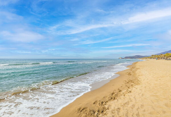 Villa Dei Pini: all'aperto, Balcone / Terrazza / Patio, Estate, Esterni, Giardino, Piscina, Primavera