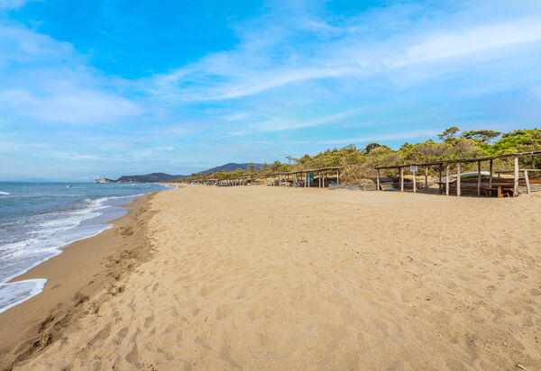Villa Dei Pini: all'aperto, Balcone / Terrazza / Patio, Estate, Esterni, Giardino, Piscina, Primavera