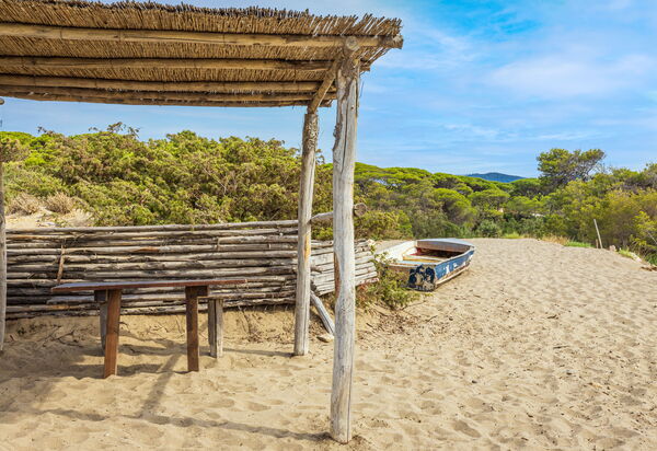 Villa Dei Pini: all'aperto, Balcone / Terrazza / Patio, Estate, Esterni, Giardino, Piscina, Primavera