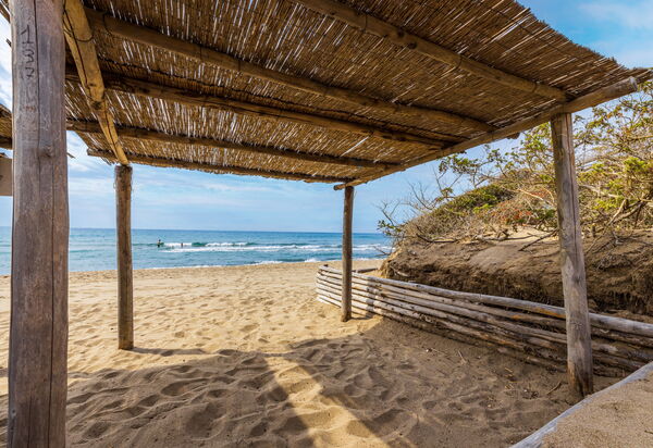 Villa Dei Pini: all'aperto, Balcone / Terrazza / Patio, Estate, Esterni, Giardino, Piscina, Primavera