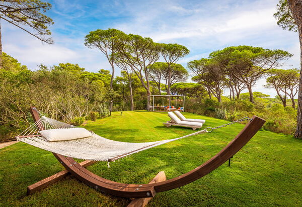 Villa Dei Pini: all'aperto, Balcone / Terrazza / Patio, Estate, Esterni, Giardino, Piscina, Primavera