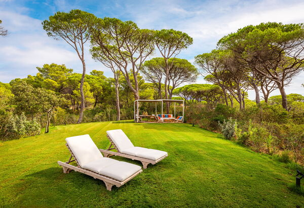 Villa Dei Pini: all'aperto, Balcone / Terrazza / Patio, Estate, Esterni, Giardino, Piscina, Primavera