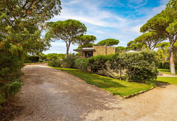 Villa Dei Pini: all'aperto, Balcone / Terrazza / Patio, Estate, Esterni, Giardino, Piscina, Primavera