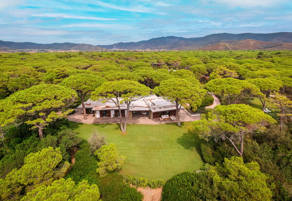 Villa Dei Pini: all'aperto, Balcone / Terrazza / Patio, Estate, Esterni, Giardino, Piscina, Primavera
