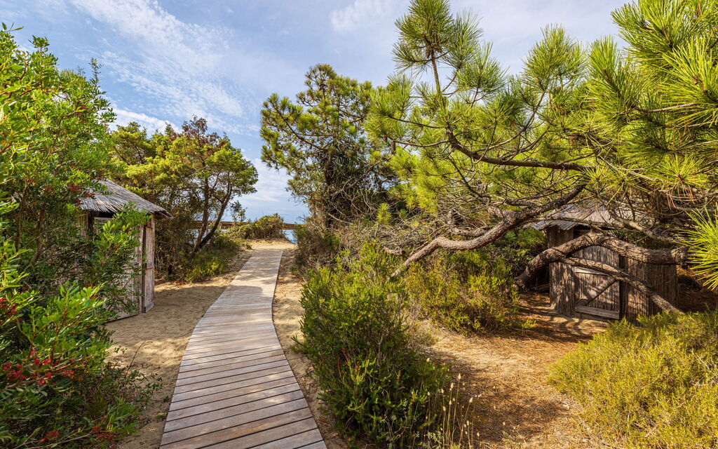 Villa Dei Pini: all'aperto, Balcone / Terrazza / Patio, Estate, Esterni, Giardino, Piscina, Primavera