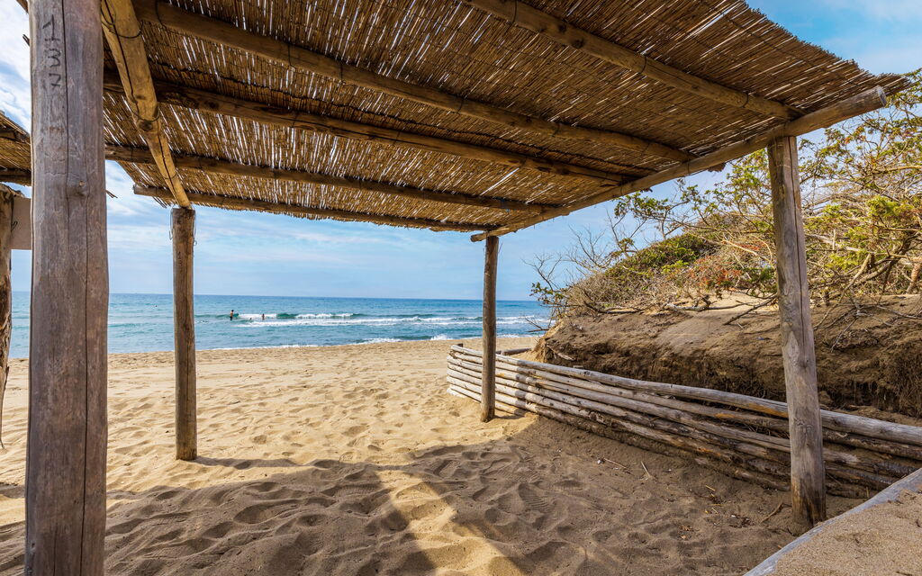 Villa Dei Pini: all'aperto, Balcone / Terrazza / Patio, Estate, Esterni, Giardino, Piscina, Primavera