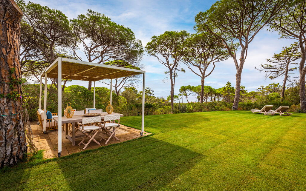 Villa Dei Pini: all'aperto, Balcone / Terrazza / Patio, Estate, Esterni, Giardino, Piscina, Primavera