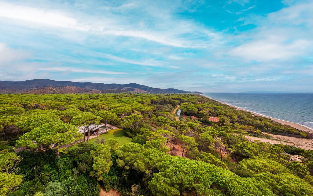 Villa Dei Pini: all'aperto, Balcone / Terrazza / Patio, Estate, Esterni, Giardino, Piscina, Primavera