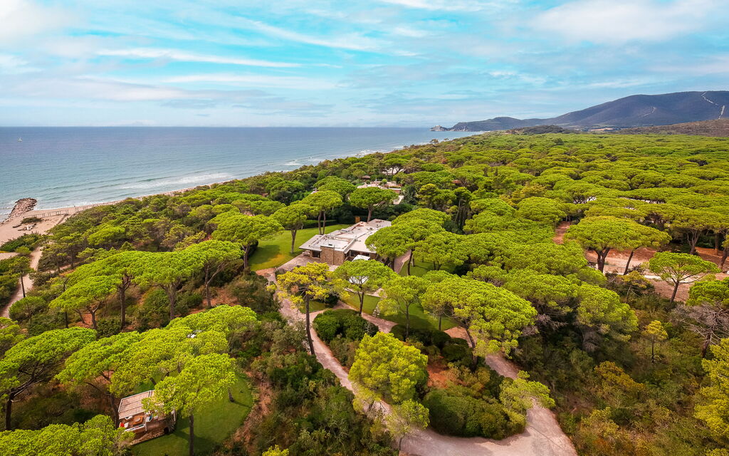 Villa Dei Pini: all'aperto, Balcone / Terrazza / Patio, Estate, Esterni, Giardino, Piscina, Primavera