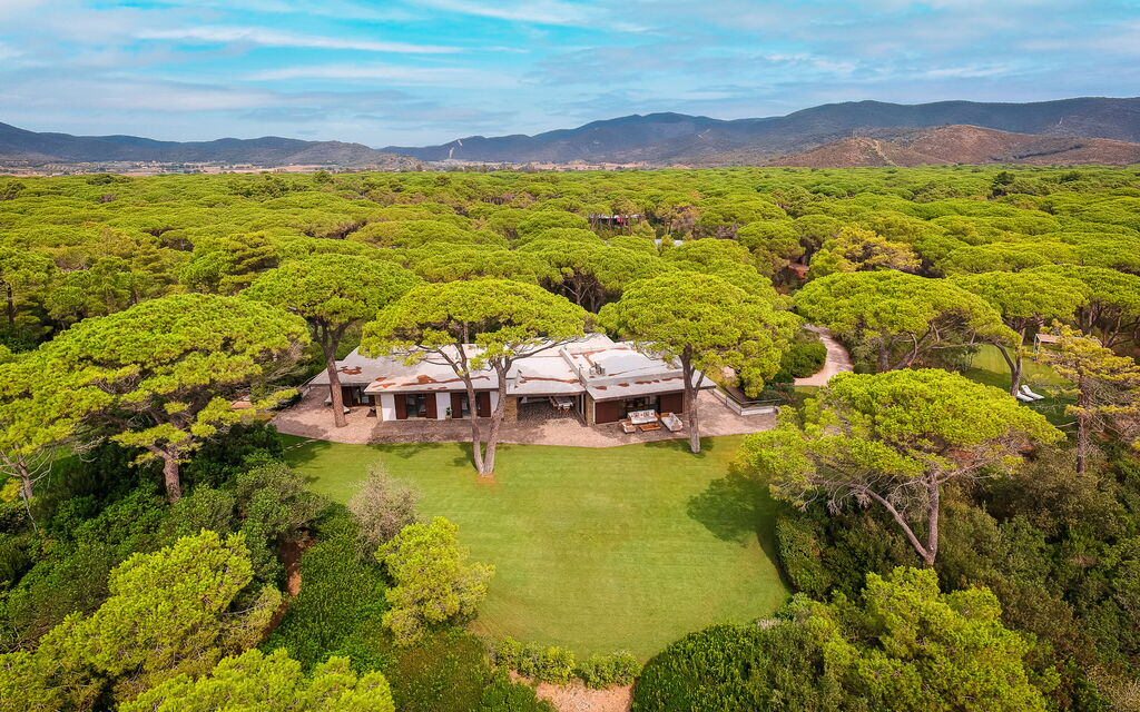 Villa Dei Pini: all'aperto, Balcone / Terrazza / Patio, Estate, Esterni, Giardino, Piscina, Primavera