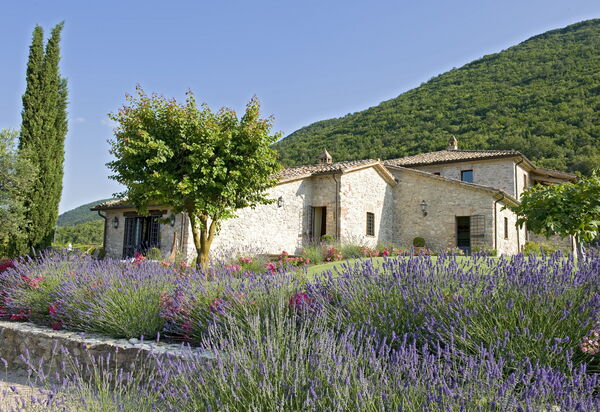 Villa Superba: Attività, Balcone / Terrazza / Patio, Caratteristiche, Estate, Esterni, Giardino, Piscina, Primavera, Servizi