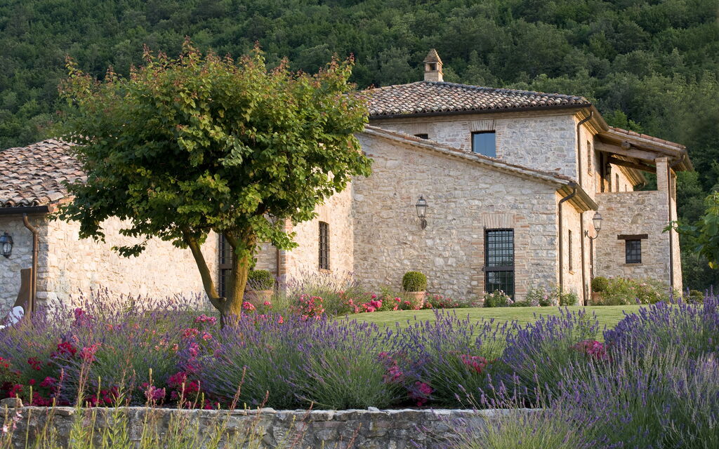 Villa Superba: Attività, Balcone / Terrazza / Patio, Caratteristiche, Estate, Esterni, Giardino, Piscina, Primavera, Servizi