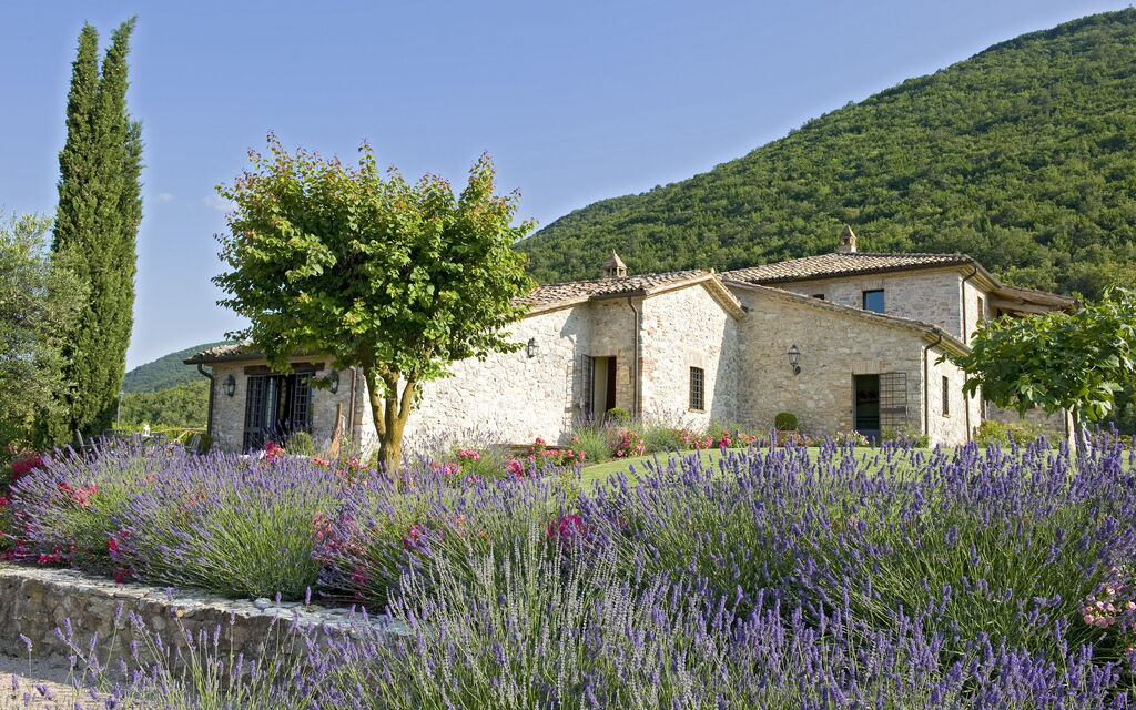 Villa Superba: Attività, Balcone / Terrazza / Patio, Caratteristiche, Estate, Esterni, Giardino, Piscina, Primavera, Servizi