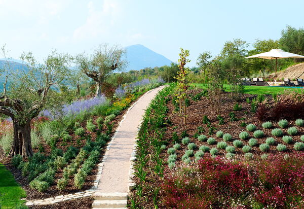 Villa Camino: Attività, Balcone / Terrazza / Patio, Caratteristiche, Estate, Esterni, Piscina, Primavera