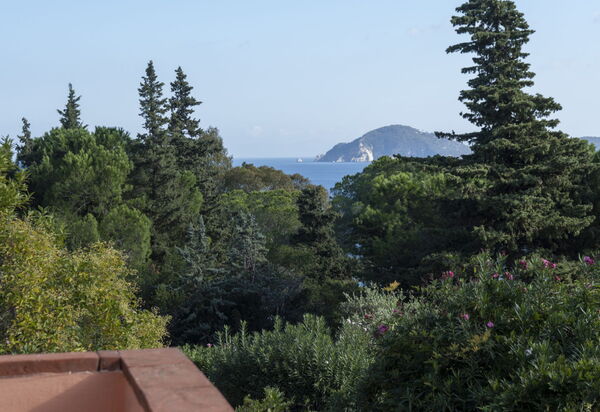 Villa Elvira: Attività, Balcone / Terrazza / Patio, Benessere, Caratteristiche, Entrata Principale, Estate, Esterni, Giardino, Piscina, Primavera