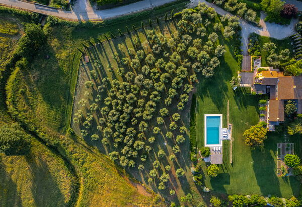 Villa Berretta: Attività, Benessere, Estate, Esterni, Giardino, Piscina, Primavera