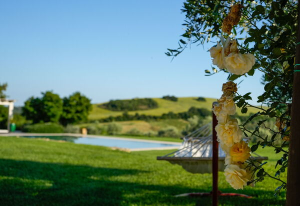 Villa Berretta: Attività, Benessere, Estate, Esterni, Giardino, Piscina, Primavera