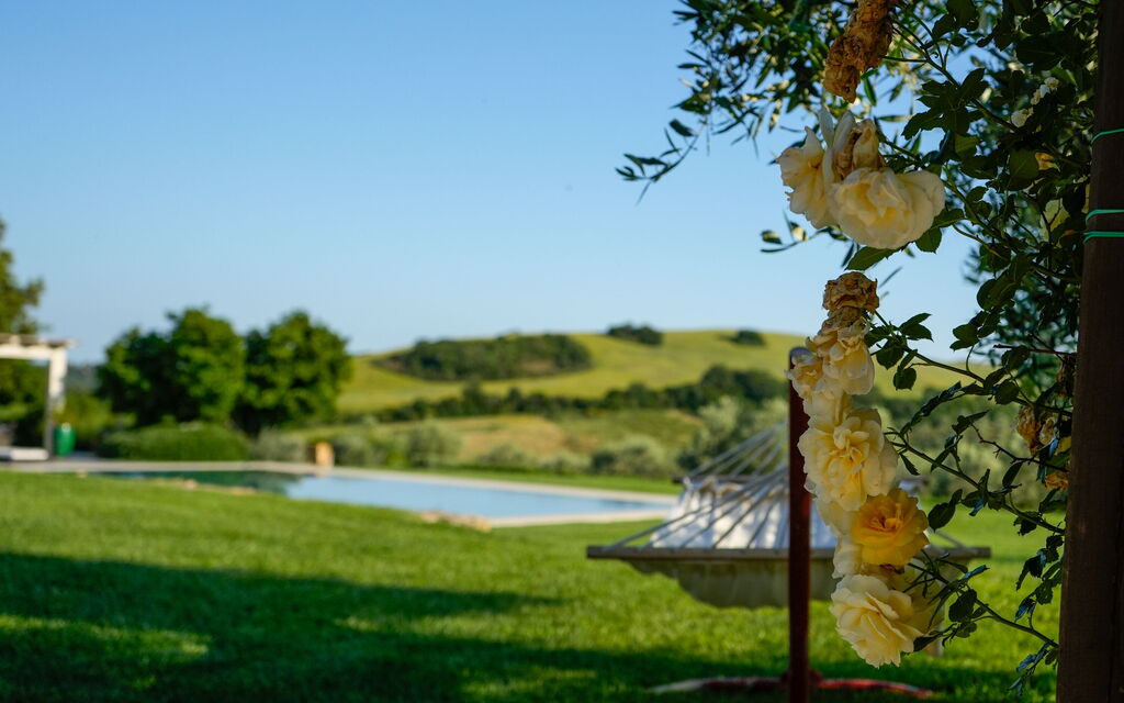 Villa Berretta: Attività, Benessere, Estate, Esterni, Giardino, Piscina, Primavera