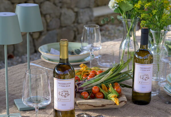 Villa Collalto 12: Attività, Balcone / Terrazza / Patio, Caratteristiche, Cibo, Entrata Principale, Estate, Esterni, Giardino, Primavera, Servizi