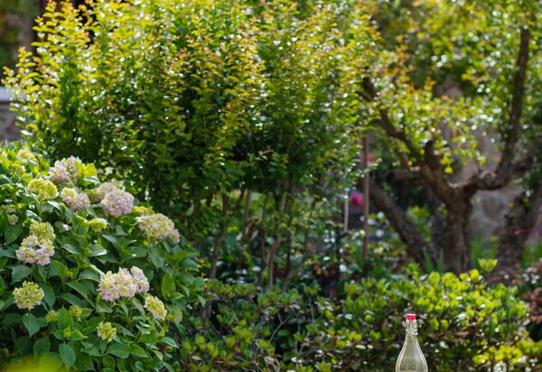 Villa Dorina: Attività, Balcone / Terrazza / Patio, Caratteristiche, Dettagli della stanza, Estate, Esterni, Piscina, Primavera