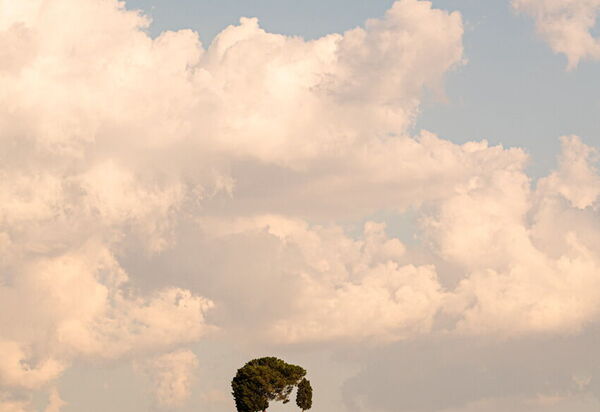 Villa Dorina: Attività, Balcone / Terrazza / Patio, Caratteristiche, Dettagli della stanza, Estate, Esterni, Piscina, Primavera