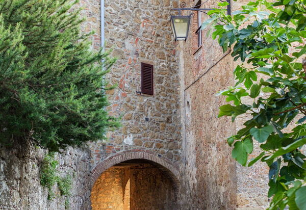 Villa Dorina: Attività, Balcone / Terrazza / Patio, Caratteristiche, Dettagli della stanza, Estate, Esterni, Piscina, Primavera