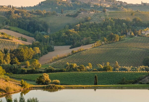 Villa Dorina: Attività, Balcone / Terrazza / Patio, Caratteristiche, Dettagli della stanza, Estate, Esterni, Piscina, Primavera