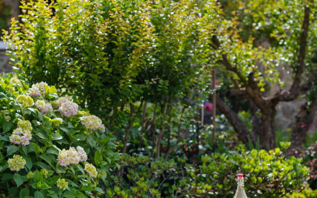 Villa Dorina: Attività, Balcone / Terrazza / Patio, Caratteristiche, Dettagli della stanza, Estate, Esterni, Piscina, Primavera