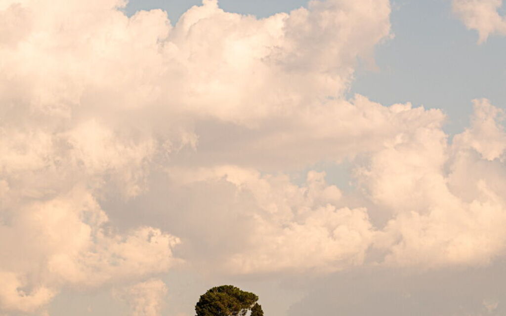 Villa Dorina: Attività, Balcone / Terrazza / Patio, Caratteristiche, Dettagli della stanza, Estate, Esterni, Piscina, Primavera