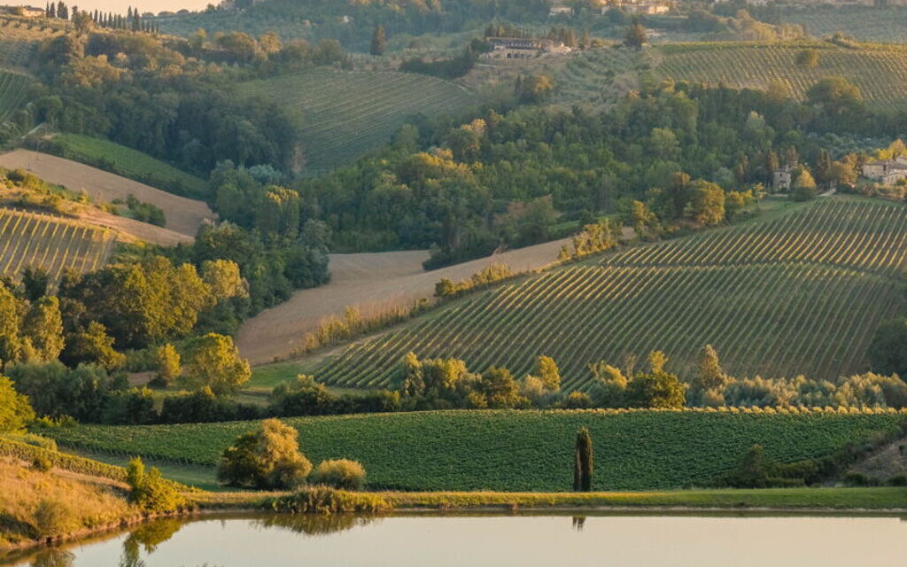 Villa Dorina: Attività, Balcone / Terrazza / Patio, Caratteristiche, Dettagli della stanza, Estate, Esterni, Piscina, Primavera