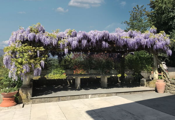 Villa Coraline 15: Attività, Balcone / Terrazza / Patio, Caratteristiche, Entrata Principale, Estate, Esterni, Giardino, Piscina, Primavera