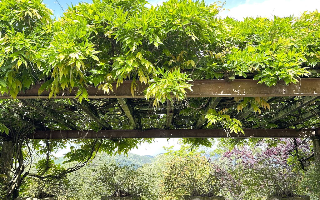 Villa Coraline 15: Activities, Amenities, Balcony / Terrace / Patio, Building Exterior, Garden, Main Entrance, Pool, Spring, Summer