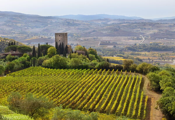 Villa Del Vin Santo 22: Attività, Balcone / Terrazza / Patio, Caratteristiche, Estate, Esterni, Piscina, Primavera