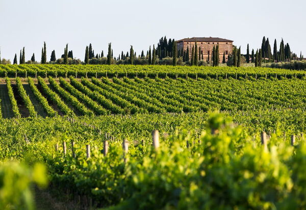 Villa Del Vin Santo 22