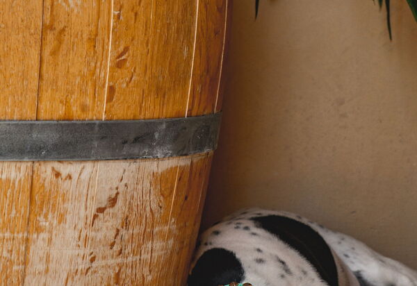 Villa Del Vin Santo 22