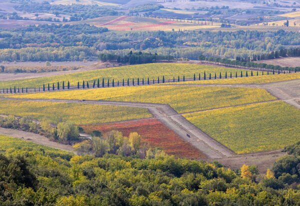 Villa Del Vin Santo 22: Attività, Balcone / Terrazza / Patio, Caratteristiche, Estate, Esterni, Piscina, Primavera