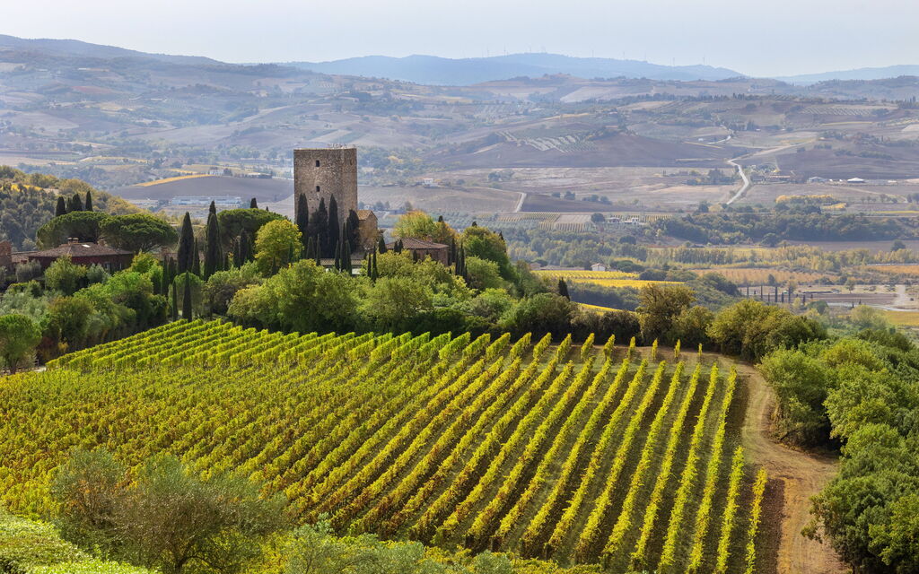 Villa Del Vin Santo 22: Attività, Balcone / Terrazza / Patio, Caratteristiche, Estate, Esterni, Piscina, Primavera