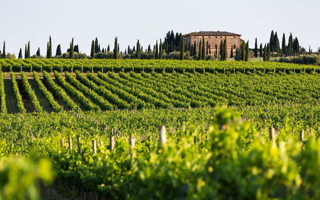 Villa Del Vin Santo 22