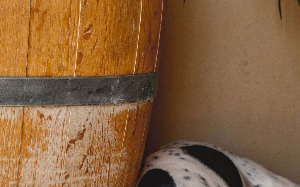Villa Del Vin Santo 22