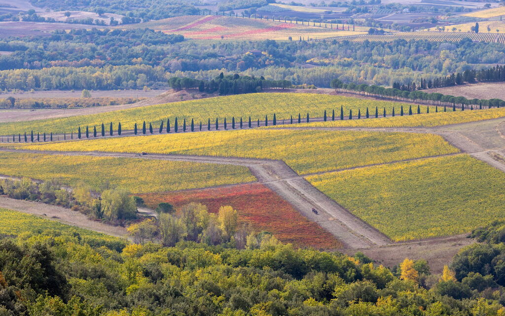 Villa Del Vin Santo 22: Attività, Balcone / Terrazza / Patio, Caratteristiche, Estate, Esterni, Piscina, Primavera